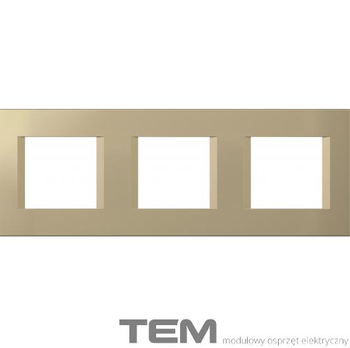 RAMKA OZDOBNA SERII LINE 3X2M ZŁOTY-MAT OL26SG