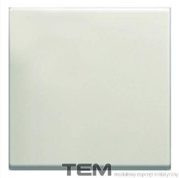 KLAWISZ 2M BEŻ-POŁYSK TM12IW
